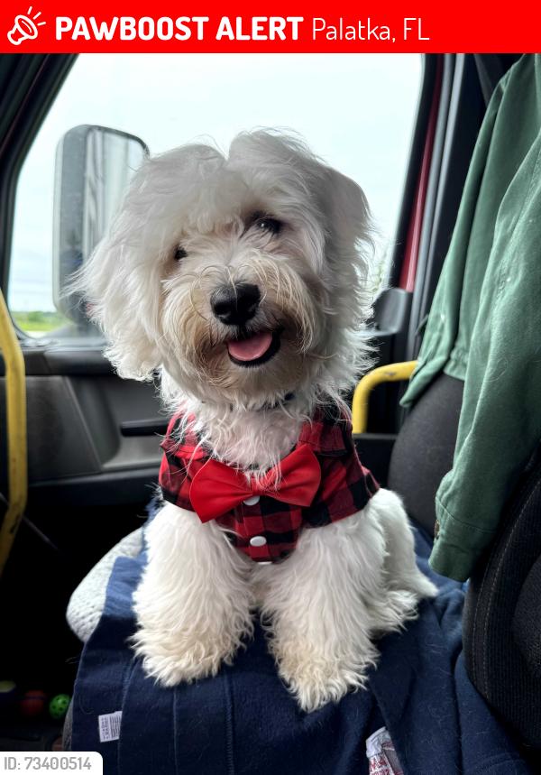 Lost Male Dog last seen Husson, Palatka, FL 32177