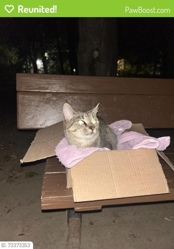 Reunited Unknown Cat last seen On the Merrimack near Hampton Ave 01854, Lowell, MA 01854