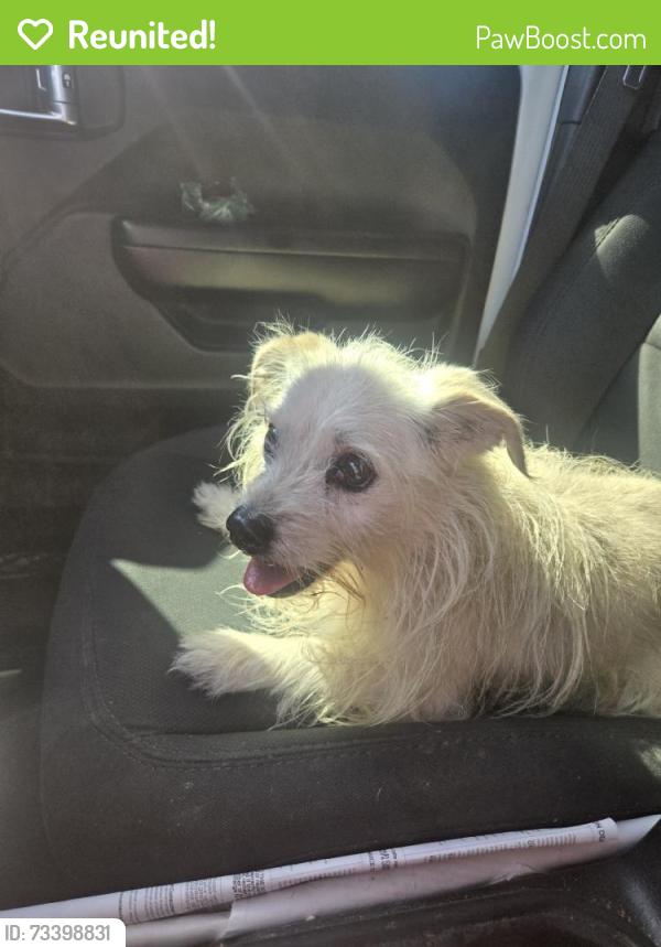 Reunited Unknown Dog last seen Near Mesa View Dr, Victorville, CA 92392, USA, Victorville, CA 92392