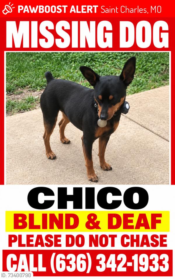 Lost Male Dog last seen Trails of Riverwood Neighborhood, Saint Charles, MO 63303