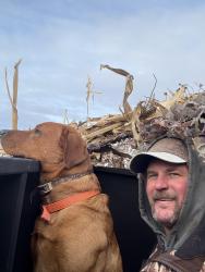 Lost Male Dog last seen Near adamsville rd. Zanseville OH, Zanesville, OH 43701