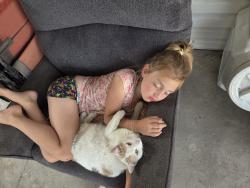 Lost Female Cat last seen Near w 1900 s, Bountiful, UT 84010