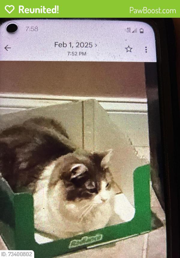 Reunited Female Cat last seen Bloomfield ave, Philadelphia, PA 19115