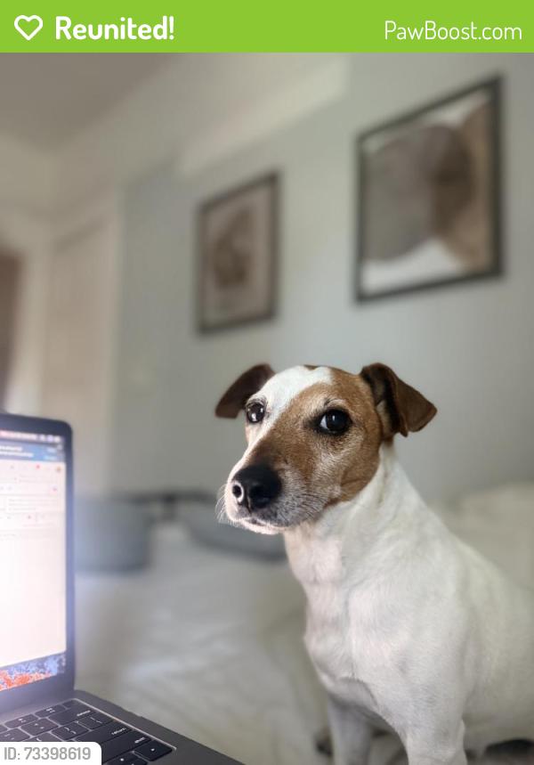 Reunited Male Dog last seen Near N Towne Ave, Pomona, CA 91767, USA, Pomona, CA 91767