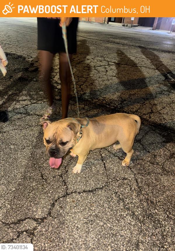 Found/Stray Female Dog last seen Hanford st & 18th, Columbus, OH 43206