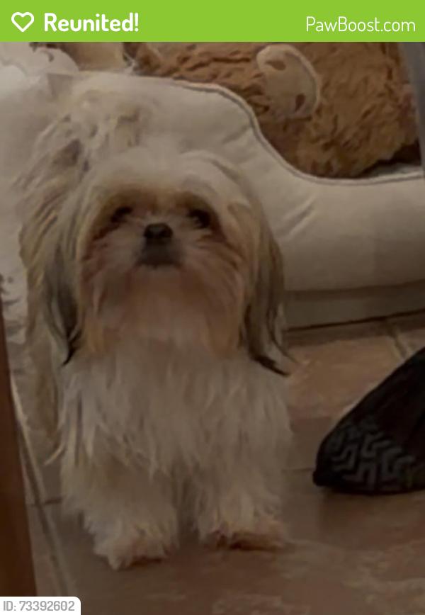 Reunited Female Dog last seen Near Spotswood Gravel Hill Rd Monroe twp, NJ 08831 Estados Unidos, Monroe Township, NJ 08831