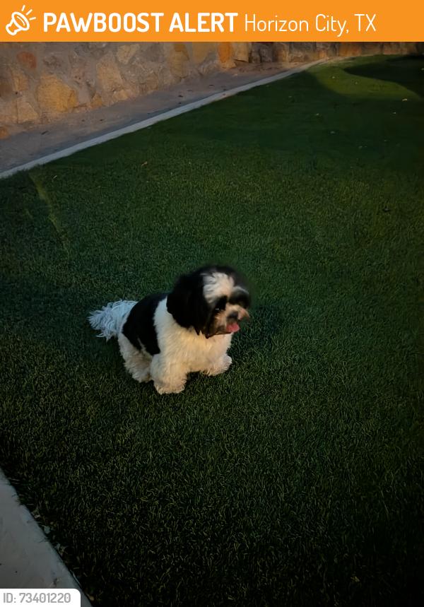 Found/Stray Male Dog last seen Darington and Eastlake, Horizon City, TX 79928