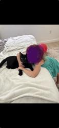 Lost Male Cat last seen Old hickory and stellar drive, St. Cloud, FL 34772