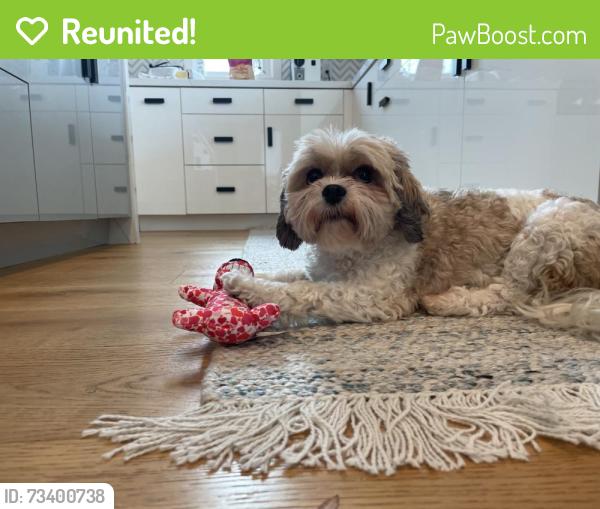 Reunited Male Dog last seen Alameda and Monterey Ave., Menlo Park, CA 94025