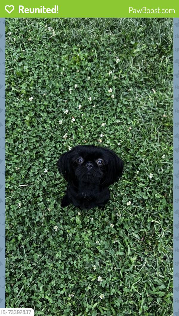 Reunited Female Dog last seen Jackman middle school, Sacramento, CA 95823
