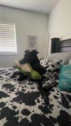 Reunited Female Dog last seen Northwood pines, Gainesville, FL 32653