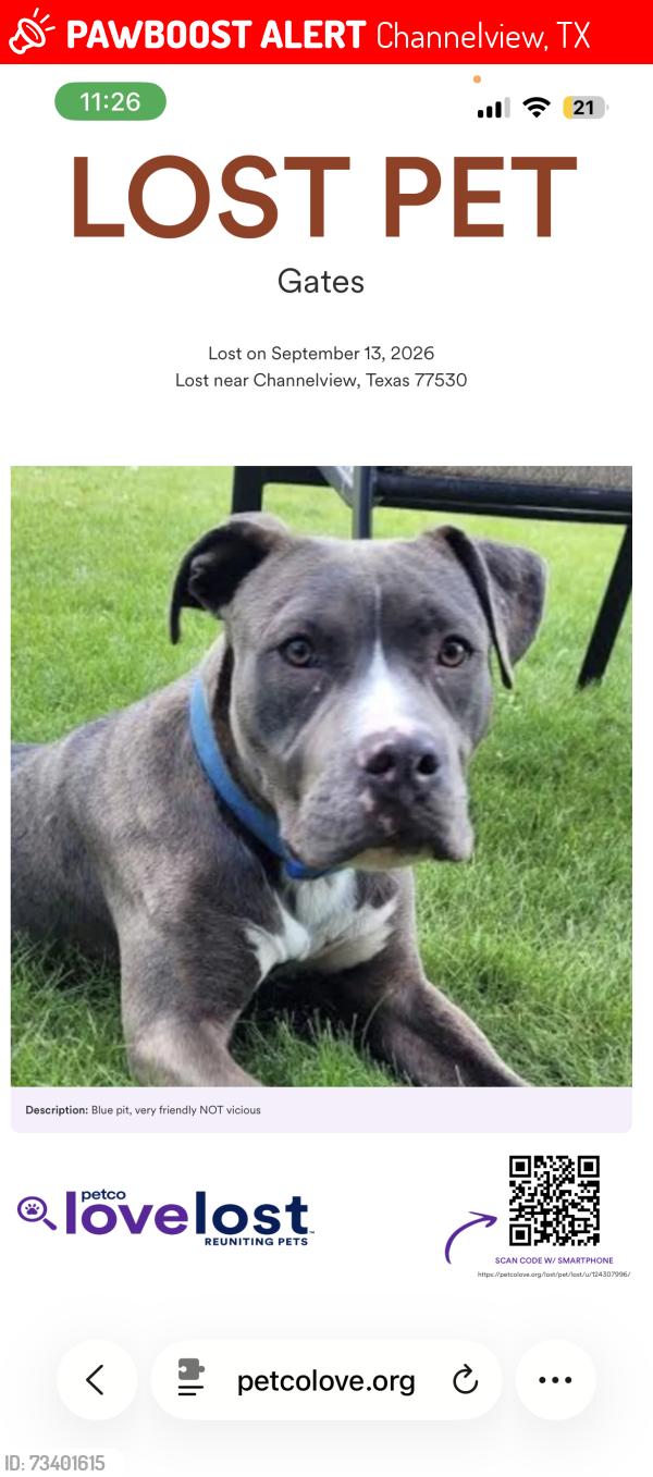 Lost Male Dog last seen Dell dale, Channelview, TX 77530