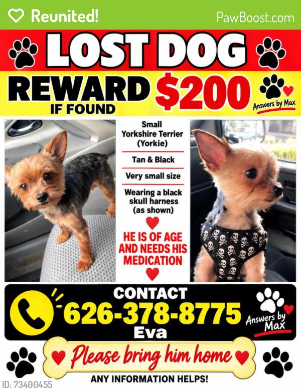 Reunited Male Dog last seen Near Eulita Ave, La Puente, CA 91744, USA, La Puente, CA 91744