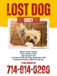 Lost Female Dog last seen s gilmar st, Anaheim, CA 92815