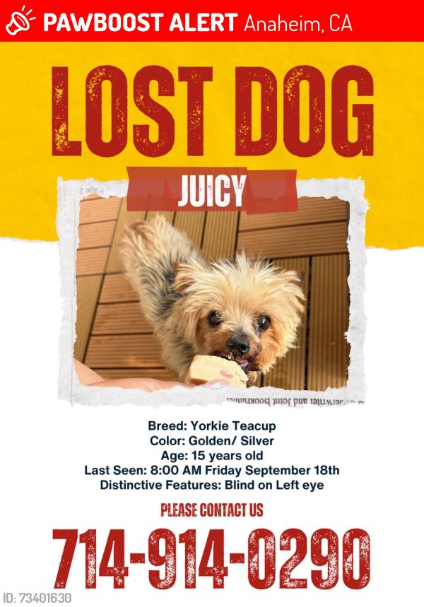 Lost Female Dog last seen s gilmar st, Anaheim, CA 92815