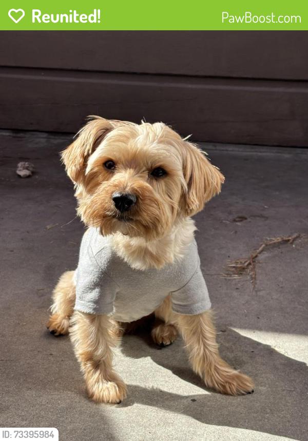 Reunited Male Dog last seen E 72nd St, Long Beach, CA, USA, Long Beach, CA 90221