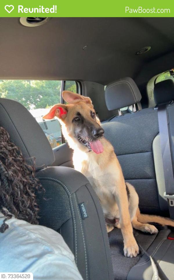 Reunited Male Dog last seen Woodbury Farm Dr (Pony Farm), Onslow County, NC 28540