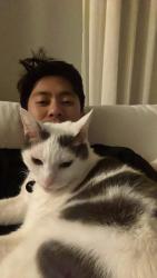 Lost Male Cat last seen Victory and Rose, Burbank, CA 91505