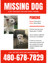 Reunited Male Dog last seen Near w fairmount ave, Phoenix, AZ 85037