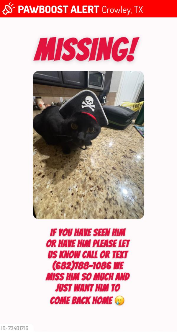 Lost Male Cat last seen Cresent Springs community, Crowley, TX 76036