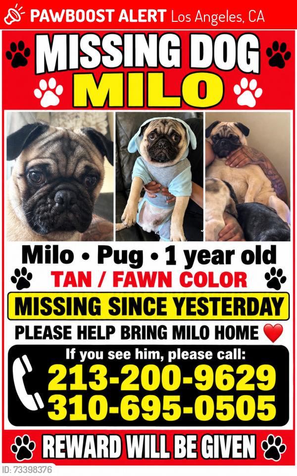 Lost Male Dog last seen 111th pl, Los Angeles, CA 90059