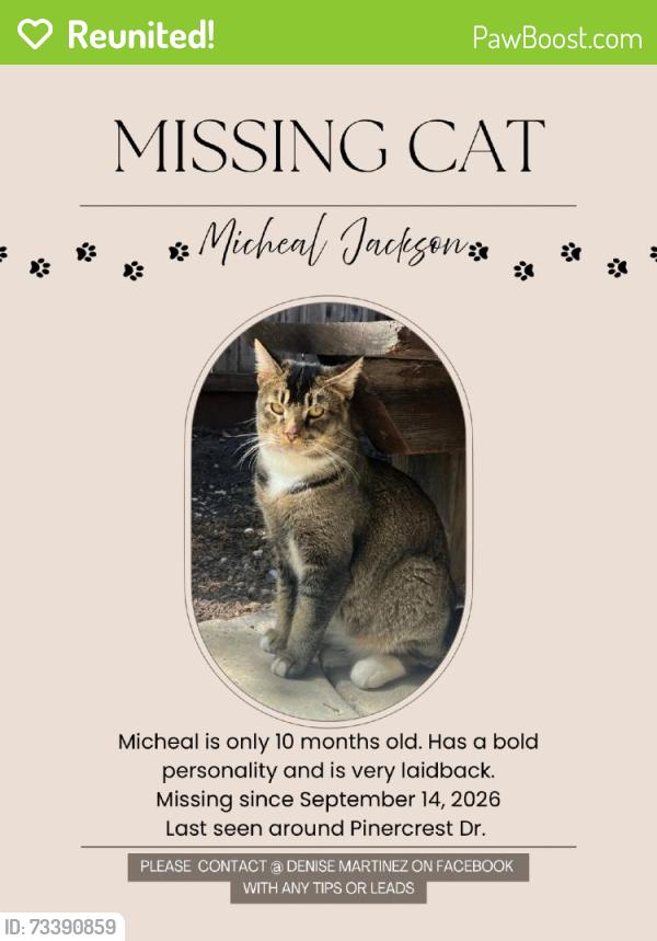 Reunited Male Cat last seen Pinercrest Dr, Santa Rosa, CA 95403, USA, Santa Rosa, CA 95403