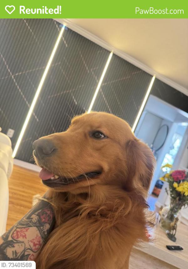 Reunited Male Dog last seen Near latona ave Ewing Nj, Ewing Township, NJ 08618