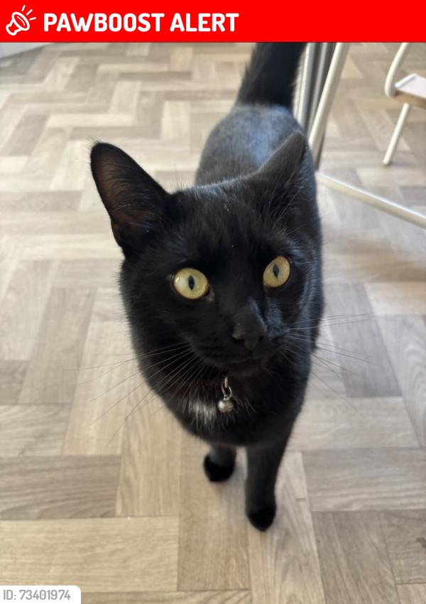 Lost Male Cat last seen Refresco, Kegworth, England DE74 2AA