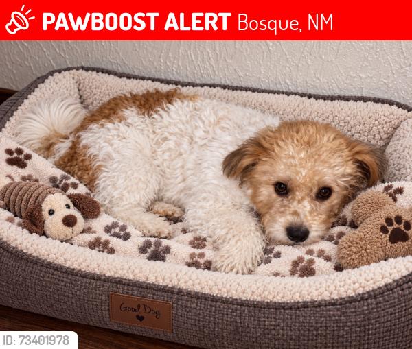 Lost Female Dog last seen Bernardo/Mountainair Exit, Bosque, NM 87006