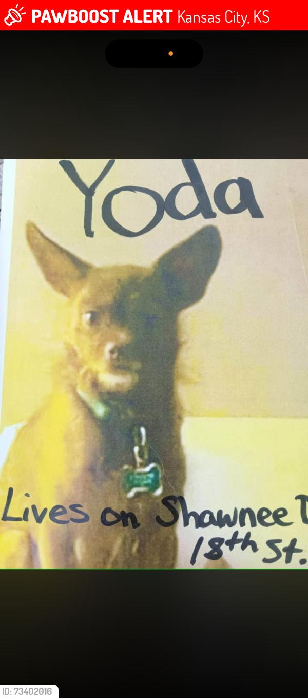 Lost Male Dog last seen Near st expressway/argentine/Merriam lane, Kansas City, KS 66106