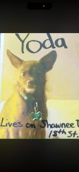 Lost Male Dog last seen Near st expressway/argentine/Merriam lane, Kansas City, KS 66106
