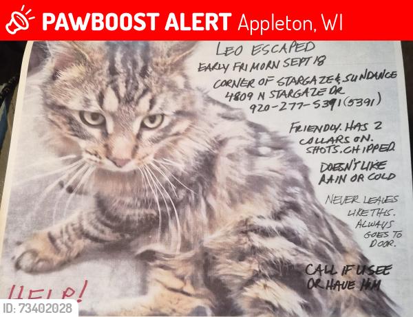 Lost Male Cat last seen Sundance and Stargaze Drs, Appleton, WI 54913