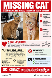Reunited Female Cat last seen Lewisham Road / Blackheath Hill, Greater London, England SE10 8GE