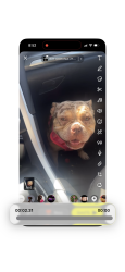Lost Female Dog last seen Grand and page, Oklahoma City, OK 73117