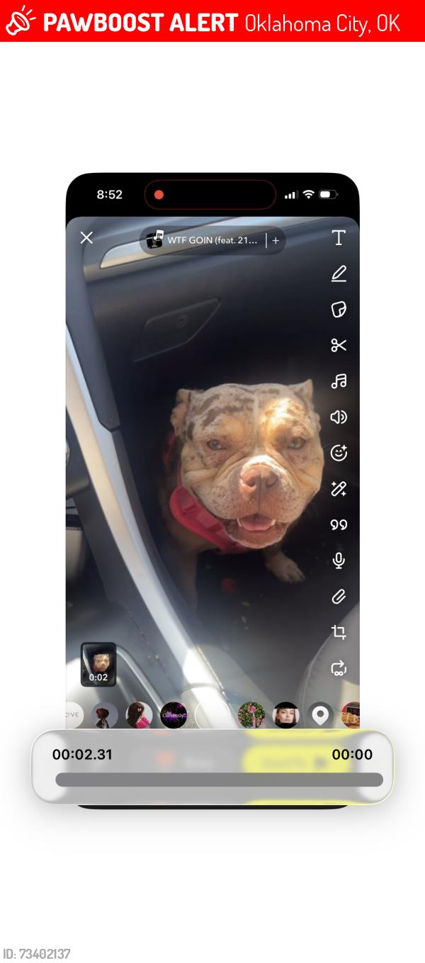 Lost Female Dog last seen Grand and page, Oklahoma City, OK 73117