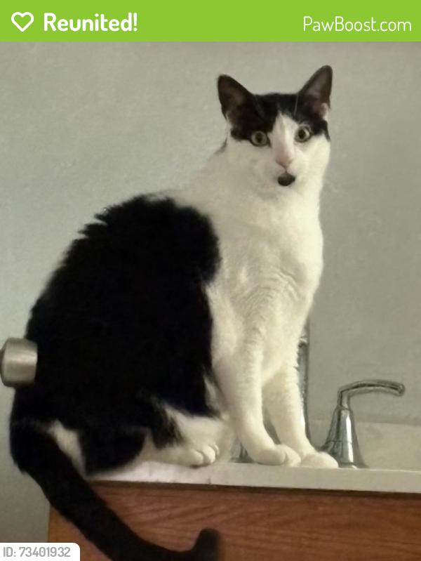 Reunited Male Cat last seen Maypop, and Forest Hill BLVD., West Palm Beach, FL 33415