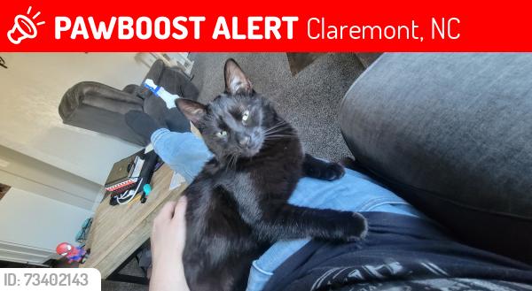 Lost Male Cat last seen Near Claremont Elementary, Claremont, NC 28610
