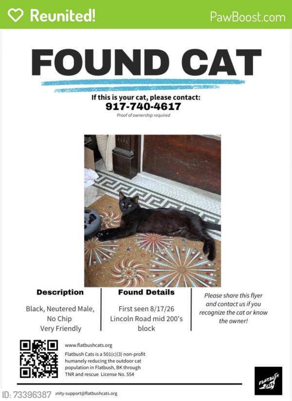 Reunited Male Cat last seen Lincoln Road between Bedford and Rogers, Brooklyn, NY 11225