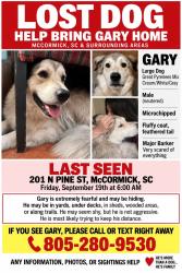 Lost Male Dog last seen Near north pine street McCormick sc, McCormick, SC 29835