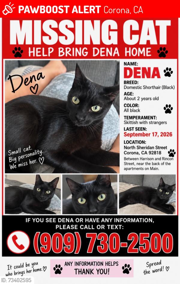 Lost Female Cat last seen Metro at main, Corona, CA 92882