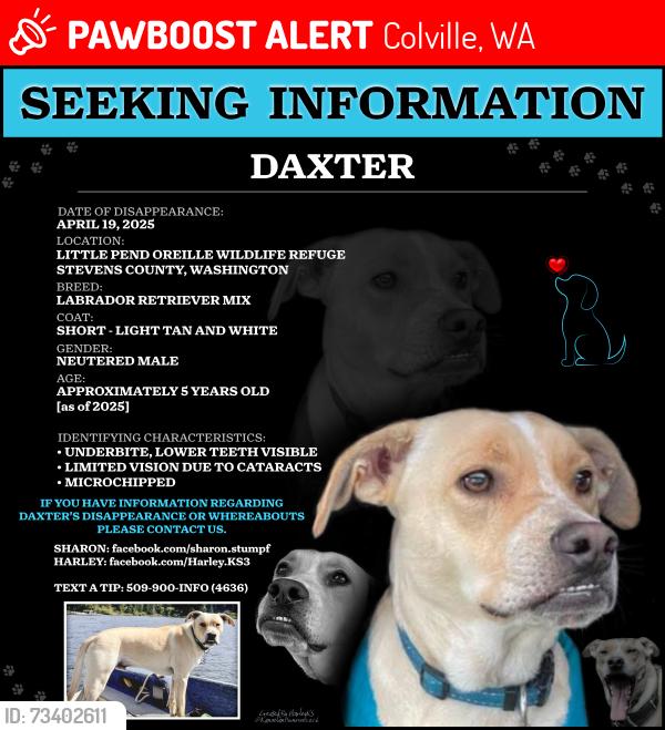 Lost Male Dog last seen Little Pend Oreille Wildlife Refuge, Colville, WA 99114