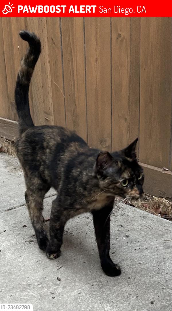 Lost Female Cat last seen Vista San Juanico San Diego 92154, San Diego, CA 92154