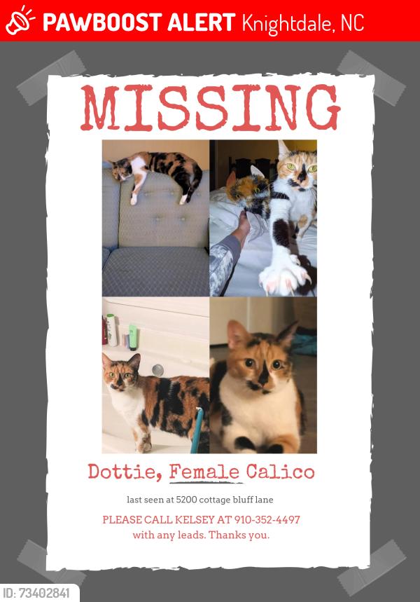 Lost Female Cat last seen Cottage bluff lane and baywood Forest, Knightdale, NC 27545