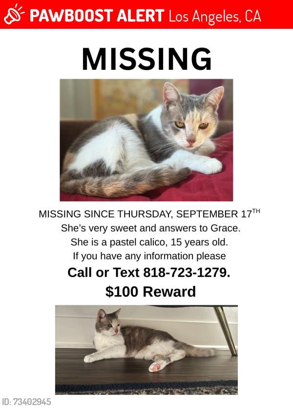 Lost Female Cat last seen Tampa and vanowen st reseda california, Los Angeles, CA 91335