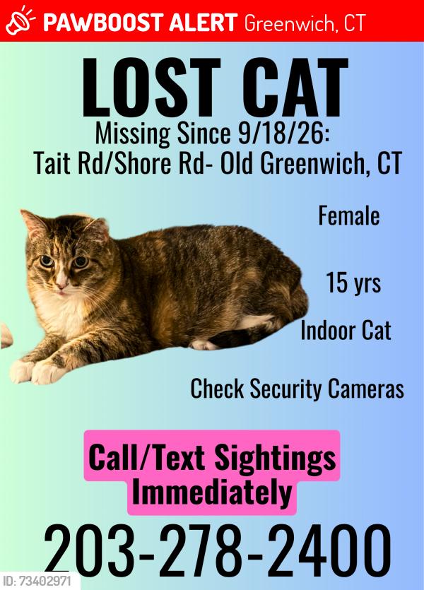 Lost Female Cat last seen Shore Rd, Greenwich, CT 06870