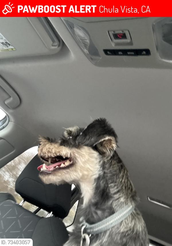 Lost Male Dog last seen Near knights ferry dr, Chula Vista, CA 91913