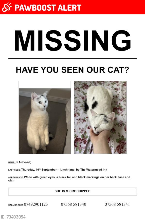 Lost Female Cat last seen Watermead Inn, Buckinghamshire, England 