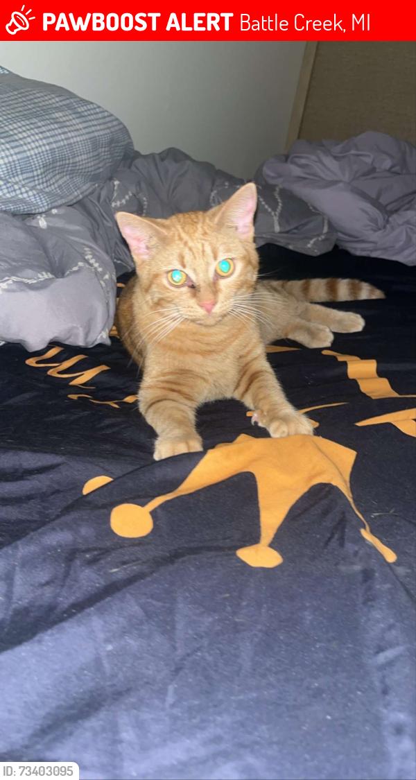 Lost Male Cat last seen The street Bennett is near the Battle Creek police department and DHS Bennett is off Main Street and Elm street in Battle Creek, Battle Creek, MI 49014