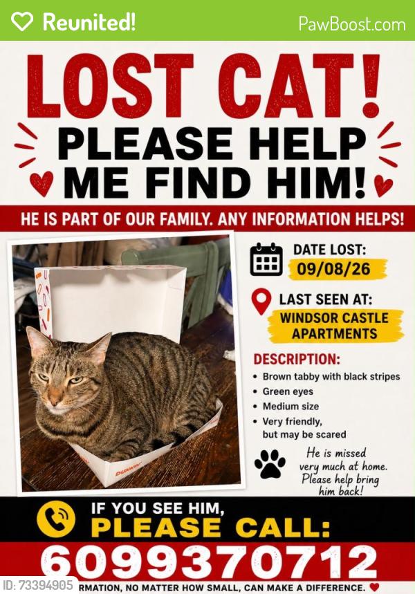 Reunited Male Cat last seen Devonshire Dr and Dorchester Dr., East Windsor, NJ 08512