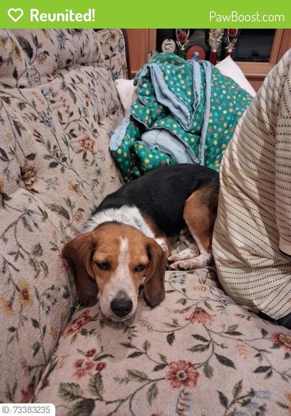 Reunited Male Dog last seen N. Kinzer Rd, Kinzers, PA 17535